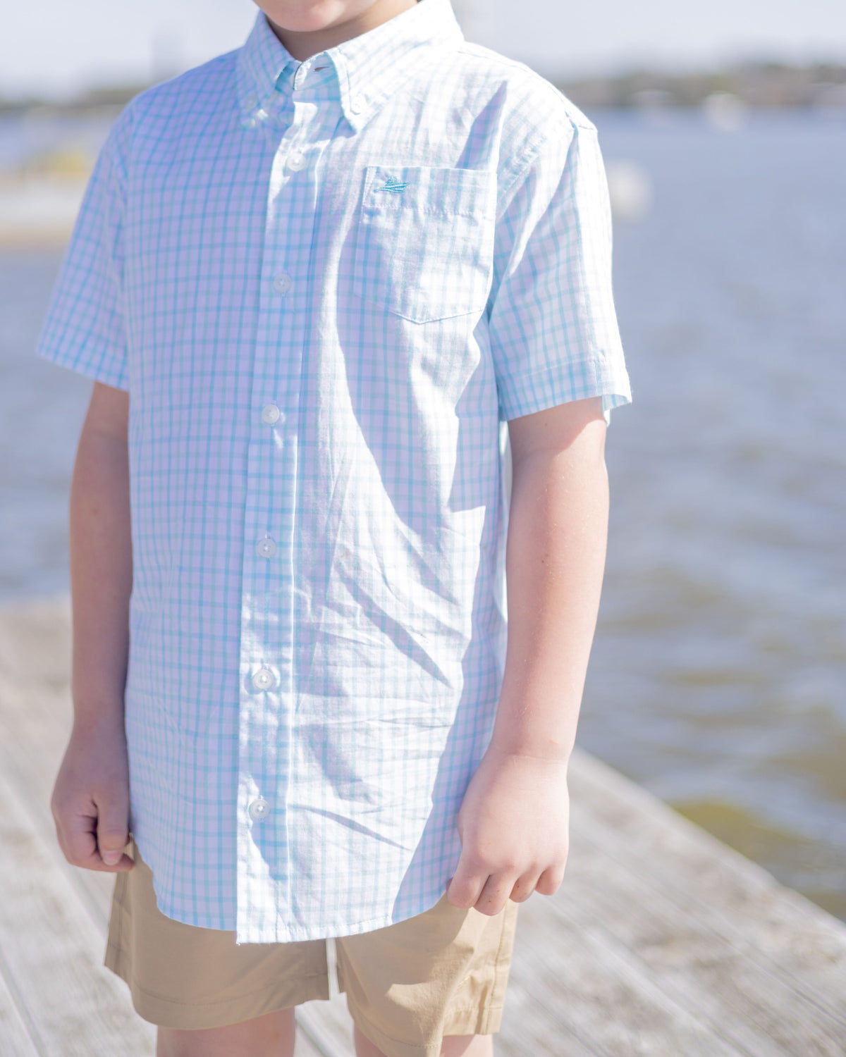 Petit Four and Bleached Aqua Short Sleeve Destin Dress Shirt