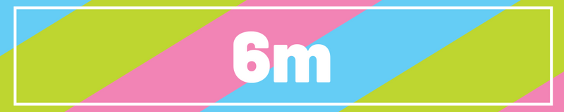 6m
