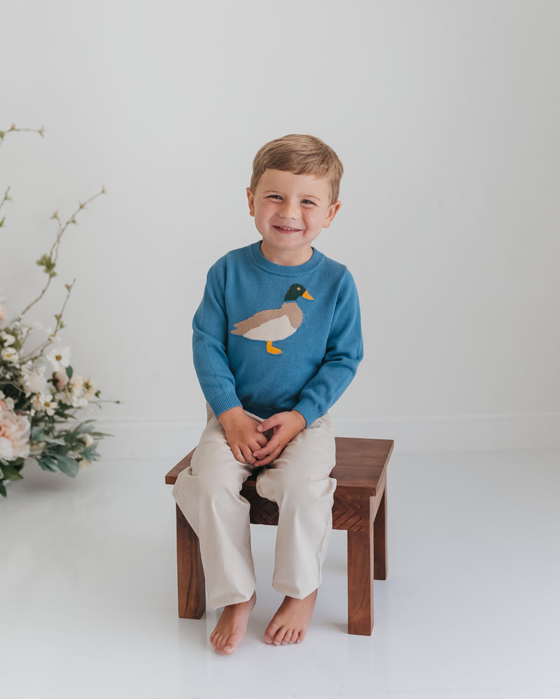 Boys Pond Explorer Sweater