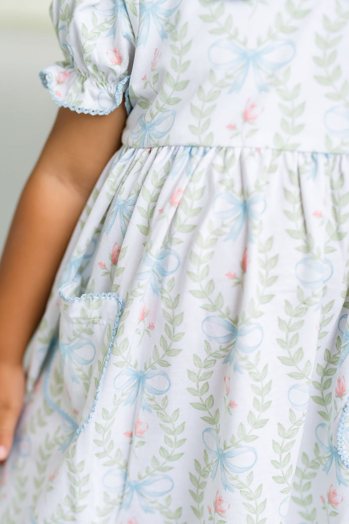 Baby Blue Bows Embroidered Dress