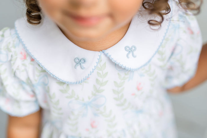 Baby Blue Bows Embroidered Dress