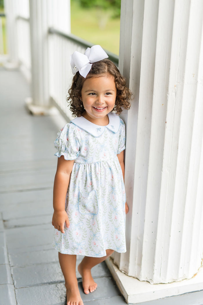 Baby Blue Bows Embroidered Dress