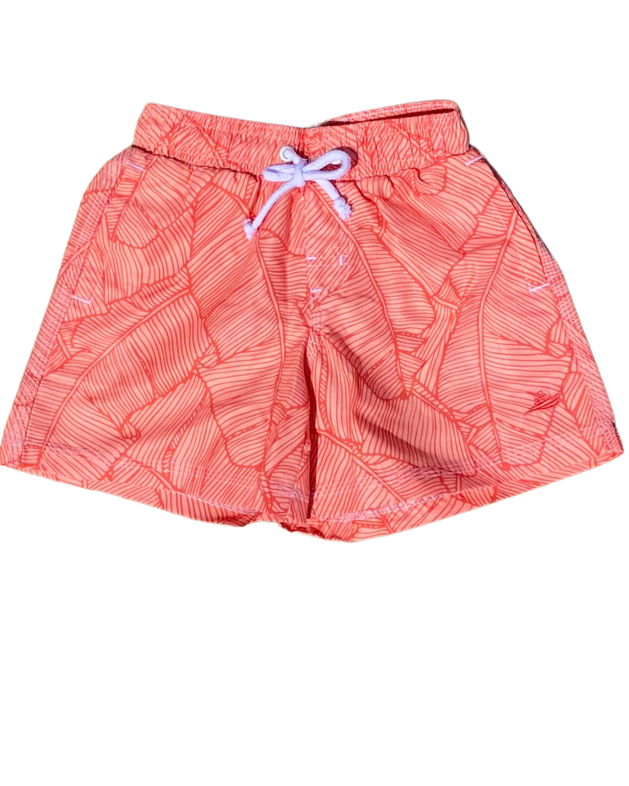 Tropical Persimmon Leaves Swim Shorts